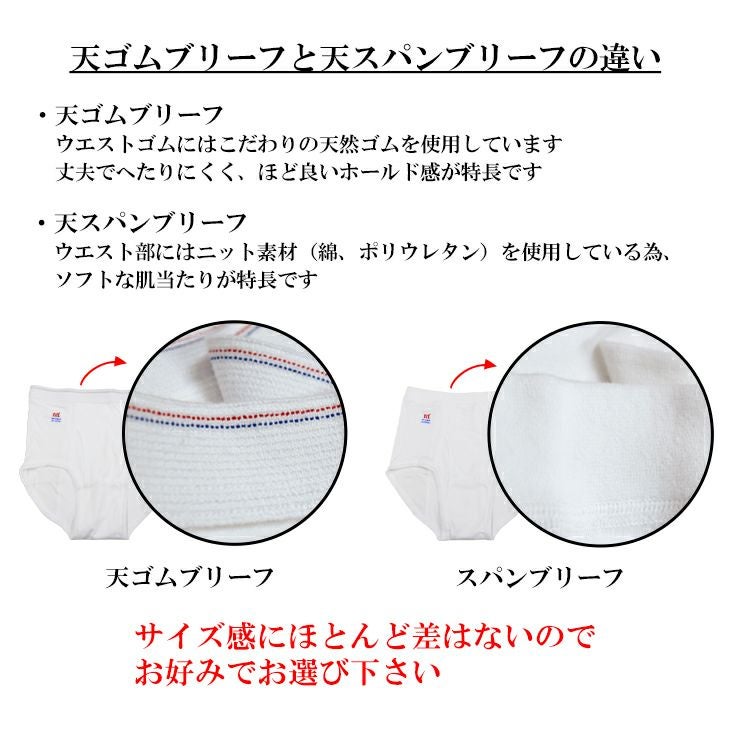 ばも　６着 10m (33ft) 6 x MPO-12 APC (Male) 対 6 x MPO-12 APC (Male) シングル